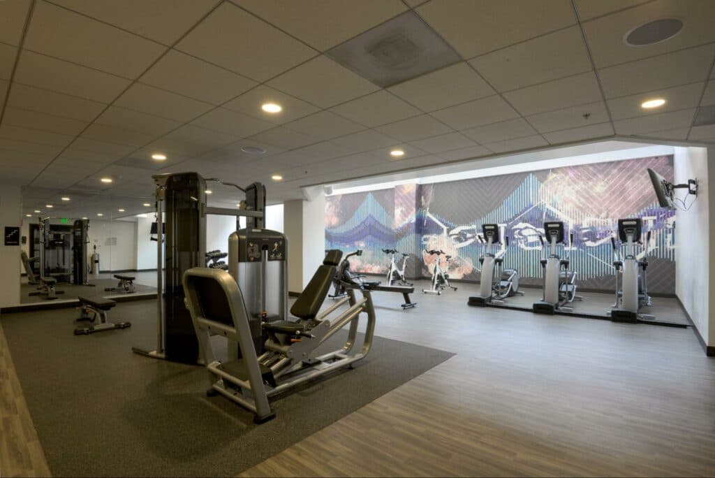 A gym with treadmills and ellipticals