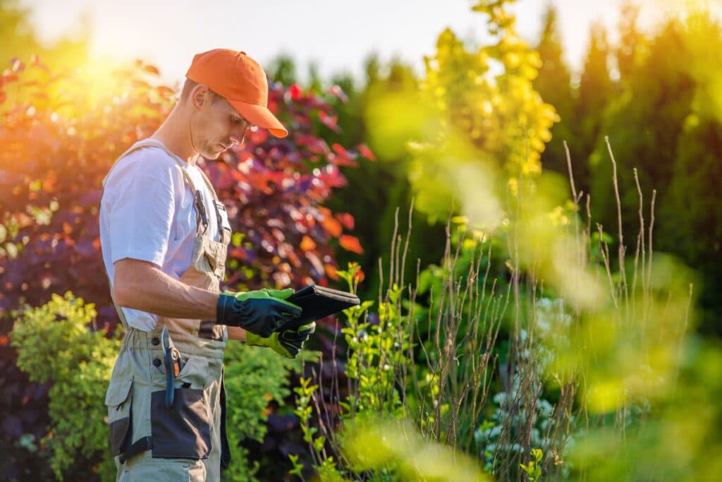 Why Professional Lawn Care Marketing Is Crucial