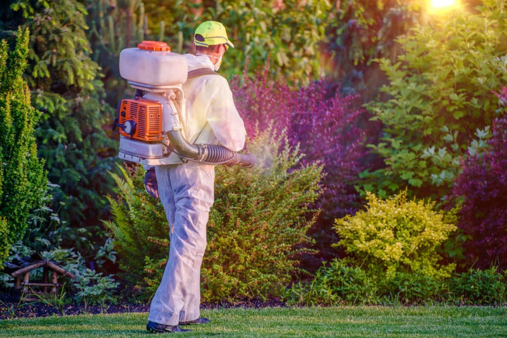 Why Digital Marketing Services for Pest Control and Extermination Brands