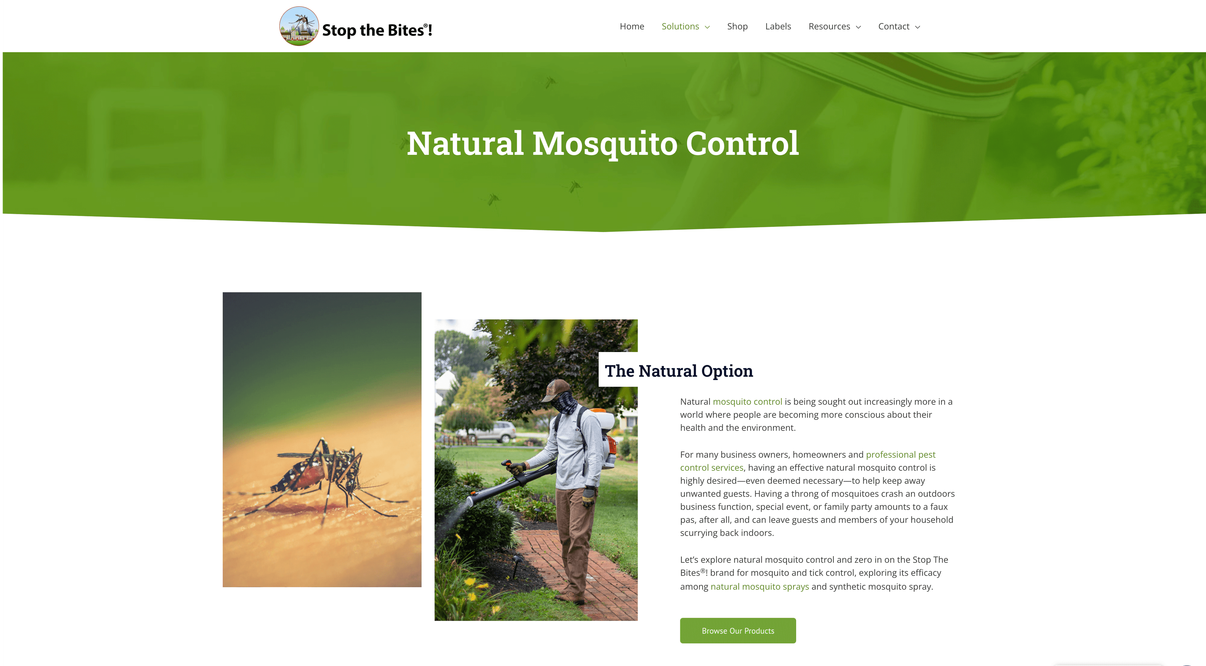 Website built by a pest control marketing agency