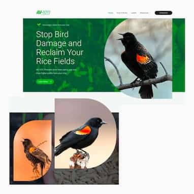 A marketing graphic for agriculture to stop bird damage