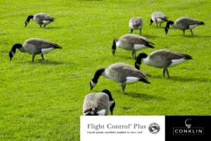 Success Spotlight - December 2020 - Growth Giants - Conklin Media